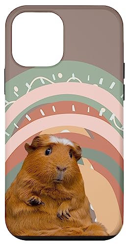 iPhone 12 mini Funny Guinea Pig Rainbow Phone Case