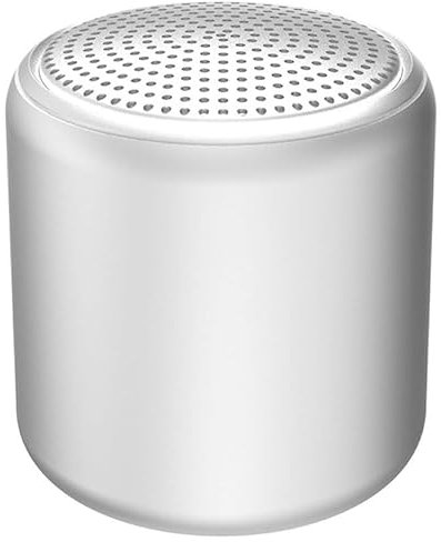 PRENDELUZ Enceinte Mini Blanche Portable avec Bluetooth Son stéréo Double couplage
