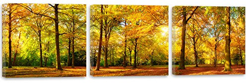 Feeby Frames, Leinwandbild, Bilder, Wand Bild - 3 Teile - Panoramabild, Wandbilder, Kunstdruck 120x40 cm, WALD, BÄUME, NATUR, SONNE, BRAUN, GRÜN