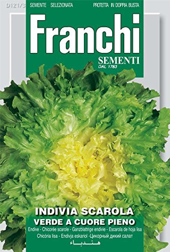 Franchi Seeds of Italy - Endive - Verde A Cuore Pieno - Seeds
