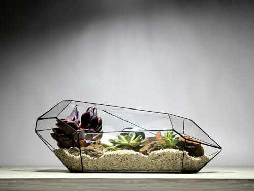 urbanjngl.com - Geometric Terrarium - Nano Planter - Vivarium - ↑ 47 x 21 x17,5 cm (LxWxH) - Glass
