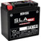 BS BATTERY Batterie SLA Max sans entretien activé usine - BTX14H