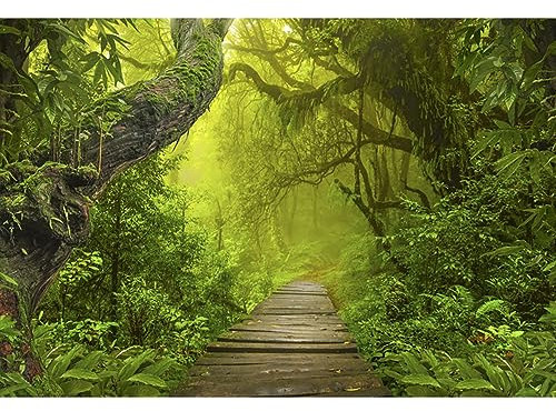 YongFoto 3x2m Vinyl Foto Hintergrund Grüne Wald Dschungel Ansicht Große alte Bäume Schmaler hölzerner Pfad Fotografie Hintergrund Backdrop Fotostudio Hintergründe Requisiten
