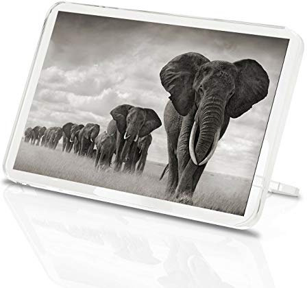 Elephant Herd Classic Fridge Magnet - Safari Africa Zoo Animal Fun Gift #8955