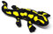Cornelißen Plüschtier Feuersalamander 28 cm Kuscheltiere Stofftiere Tier Eidechse Echse Gecko
