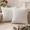 MIULEE Kordsamt Kissenbezug Kissenbezüge Dekorative Kissenhülle Moderne Sofakissen Kissen Dekokissen Couchkissen Zierkissen Weicher für Sofa Wohnzimmer Schlafzimmer 2er Set 40x40 cm Weiß
