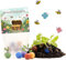 10 x Blumenschatz Blumenmurmeln | Kindergeburtstag | Mitgebsel für Schatzsuche-Geburtstage | Geschenke, Kleinigkeit, nachhaltige Geschenktüte | Samenbomben, Saatbomben, Seedbombs für Kinder