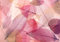 wandmotiv24 Fototapete Rosa Blätter, 400 x 280 cm - selbstklebende Strukturtapete, Wanddeko, Wandbild, Wandtapete, Aquarell, Blatt, Herbst M2090