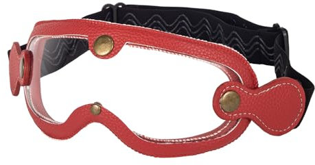 evomosa Motorradbrille Reiten Brille für Frauen Männer Erwachsene Dirt Bike Off-Road Radfahren Sport Anti-Kratz winddicht Brille (Rot Klar)