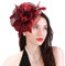 LumiSyne Fascinators Hut Für Damen Blume Tüll Bänder Federn Auf Einem Stirnband Und Einem Geteilten Clip Vintage Elegant Kopfbedeckung Kopfschmuck Für Cocktail Tea Party Hochzeit Prom Pferderennen