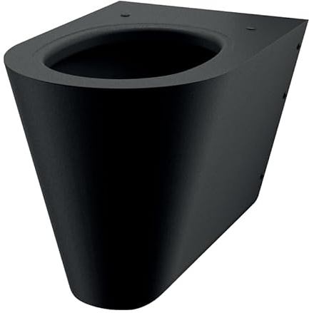 Delabie WC S21 S wandh. Anschluss von hinten Edelstahl matt schwarz