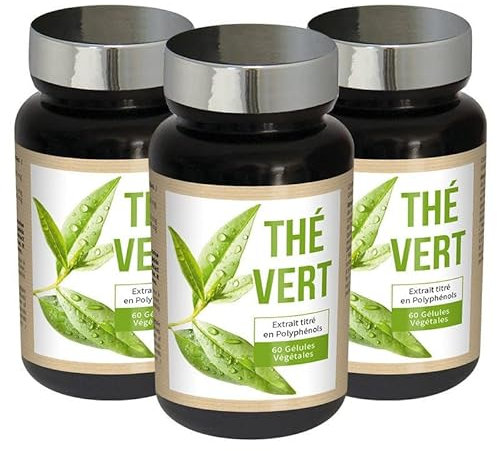 NUTRI EXPERT – Thé Vert –– Aide au contrôle du poids – Brûle les graisses – Riche en caféine et antioxydants – Favorise le drainage - 100% extraits d’origine naturelle – Végan - Lot de 3 produits