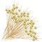 Brochette à fruits jetable de 12 cm - Brochette créative pour cocktail - Pour sushis - Dessert - Décoration créative - Brochette jetable en bambou (doré)
