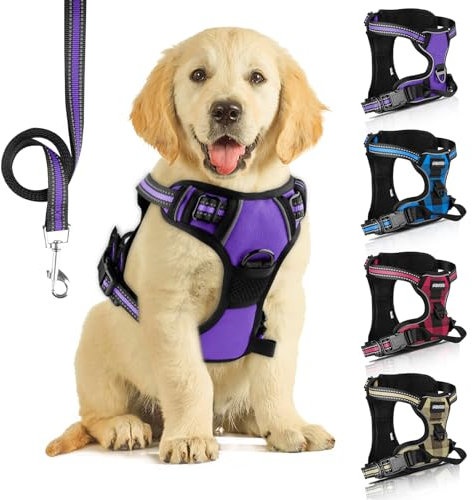 SIBOTER Hundegeschirr mit Hundeleine, Reflektierendes Hundegeschirr Kleine Hunde, mit Einfache Kontrolle Griff und Rückseite perfekt für Spaziergänge im Freien (Lila 2, L)