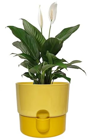 Sutars 16CM Planters for Indoor Plants,Self Watering Pots, Plant Pots, Plant Pots Indoor,Plastic Plant Pots, Flower Pots Indoor, Plant Pot, Indoor Plant Pot, Flower Pot, Indoor Plant Pots (Yellow)