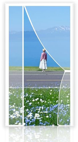 Magnetic Patio Door Insect Screen Roller Blind with Adhesive Mounting Tape Pet Friendly and Easy Installation 100x250cm White