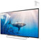 JANEFLY 55 Zoll TV Anti Blue Light Screen Protector Ausfilterung blaues Licht [Anti-Blendung] [Anti-Ultraviolett] Schutzfolie für TV-LCD-Monitoranzeige, 55-75 Zoll,32(698 * 392mm)