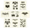 Fledermäuse Wanddekoration/Vintage Halloween-Dekor, Halloween Posters/Science Art, Gift for Bat Lovers & Creepy Anatomical Picture Poster Print Set of 9 Gotische Raumdekoration (8x10 Inches)