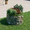 Rantry Gabbioni di pietra, gabbioni metallici Decorazione del giardino Palo circolare in gabbione Acciaio zincato Ø100x50 cm