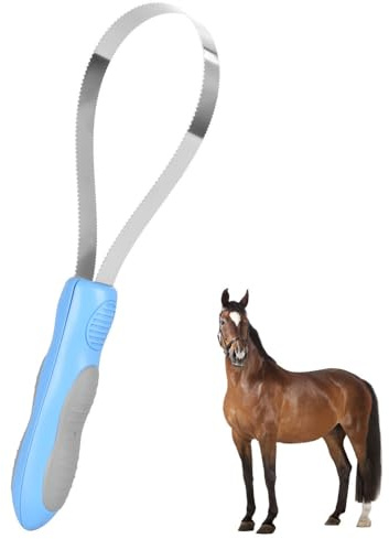 Brosse à Poils de Cheval Bilatéral, Peigne Curry Cheval avec Poignée Amovible, Grattoir en Acier Inoxydable pour Animaux à Poils Courts et Longs