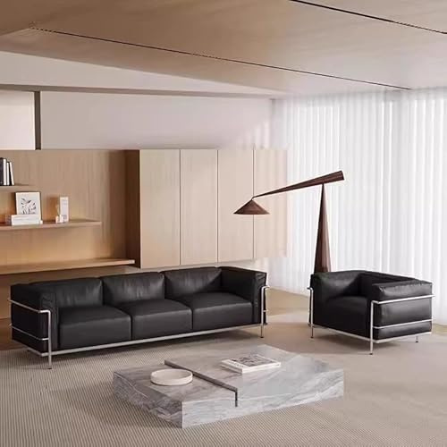KIBONCY Wohnzimmersofa im Mid-Century-Stil: Italienisches minimalistisches Ledersofa mit Edelstahlgestell, 1- bis 3-Sitzer, schwarz, for Wohnzimmer, Villa und Designer-Showrooms(2 Seater)