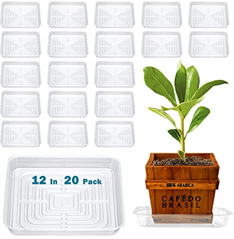 Lot de 20 soucoupes carrées pour pots de fleurs - 30,5 cm - Soucoupes transparentes pour extérieur et intérieur - Soucoupes pour pot de fleurs - Soucoupes pour récupérer l'eau - 50,8 cm, 30,5 cm