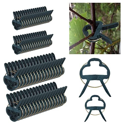 YOUNTHYE 200PCS Plant Clips, Large and Small Plant Support Clips Green Plant Clips for Climbing Plants, Garden Clips for Supporting Stems, Flower, Vegetables, Tomatoes (2 Sizes)