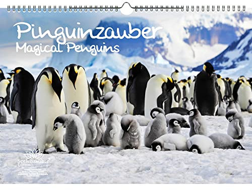 Pinguinzauber DIN A3 Immerwährender Kalender Pinguin - Seelenzauber