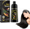 Dyceittdia Haarfärbeshampoo 500ml - 3-in-1 Glättendes Shampoo für Gefärbtes Haar, Reinigend & Reparierend, Schwarz, Magic Hair