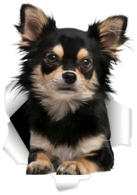 Chihuahua Auto-Aufkleber, Schwarzer Chihuahua 3D Durchbruch-Effekt, Wasserfester Vinyl-Aufkleber für Auto, Laptop, Kühlschrank, Stoßstange, Fenster (15cm/5.9 Inch)