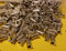 100 Stück 6–32 Aluminium Flansch Muttern Nietmuttern Nietmutter Nut Mutter SAE Standard