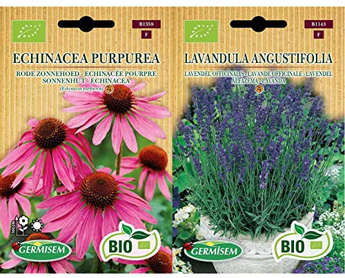 Germisem Orgánica Echinacea Purpurea Semillas de Equináceas Púrpura 0.5 g & Orgánica Lavandula Angustifolia Semillas de Lavanda 0.5 g, ECBIO1143