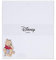 Valenti&Co – Disney Baby – Winnie Puuh Bilderrahmen aus Plexiglas mit silberfarbenen Applikationen in 3D-Farben, ideal als Dekoration für Kinderzimmer (20 x 18 cm)