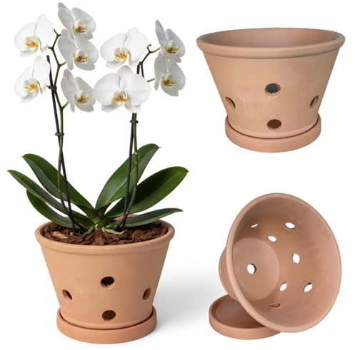Bemonew Vasi per orchidee con fori e sottovasi vasi in terracotta per orchidee da rinvasare fioriera per interni ed esterni che favorisce la circolazione dell'aria 6, 1 * 4, 5 pollici