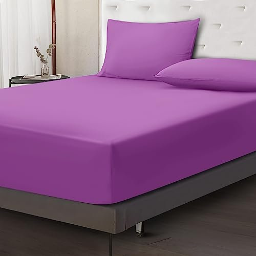 Moonlight Bedding Fitted Sheet 40 Cm Extra Deep Pocket Bed Sheets 16 inch Ultra Soft Bottom Sheet Brushed Microfiber Breathable Shrinkage and Fade Resistant (Purple, Double)