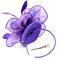 Lurrose Fascinators Für Damen Stirnbänder Kopfschmuck Fascinatoren Für Fascinators Für -teeparty Haarklammer Fascinator-hüte Für Frauen Schleier Faszinator Braut Violett Halloween Derby
