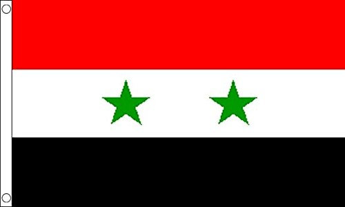 Flagtex Große Flagge Syrien
