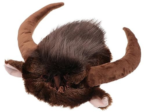 FRCOLOR Dog Cosplay Accessories Pet Headwear Puppy Hats for Small Dogs Fashion Pet Headband