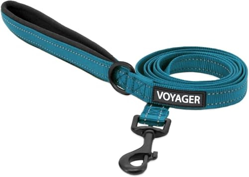 Best Pet Supplies Voyager Nylon-Hundeleine – Türkis, Groß