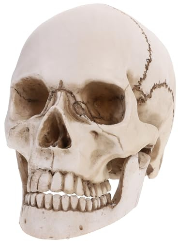 Tinksky Lifesize Human Skull Skeleton Model Replica Resin Medizinische Anatomische Tracing Medizinische Lehre Skelett Halloween Dekoration Statue