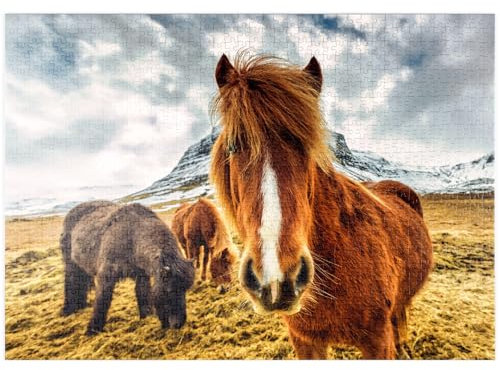 MyPuzzle Pferde in den Bergen von Island - Premium 1000 Teile Puzzle - MyPuzzle Sonderkollektion von Puzzle Galaxy