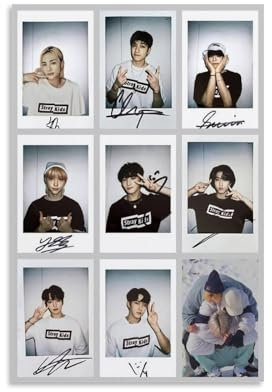 Lenaeo Stray Poster Kids Music Collage Vintage Für Zimmer, Ästhetische Leinwand-Wandkunst, Schlafzimmer-Dekor Poster 12x18inch(30x45cm)