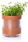 Phoenix Vine 10,2 cm selbstbewässernder Pflanztopf aus Terrakotta-Ton, mit Glasspeicher für Zimmerpflanzen, Kräuter, Blumen, 1er-Set, 52-A-E-1