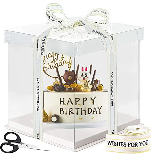 LBING Transparente Tortenschachtel Tortenbox 30 * 30 * 25cm Doppelschicht Cupcakes Muffin mit Deckel Geschenkbox Gebäck Box Backwaren-Verpackung für Geschenk Party Valentinstag(10Inch)