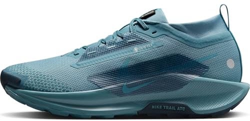 Nike Pegasus Trail 5 Gore-TEX wasserdichter Herren Traillaufschuh, Smokey Blue/Smokey Blue-Light Silver, 41 EU