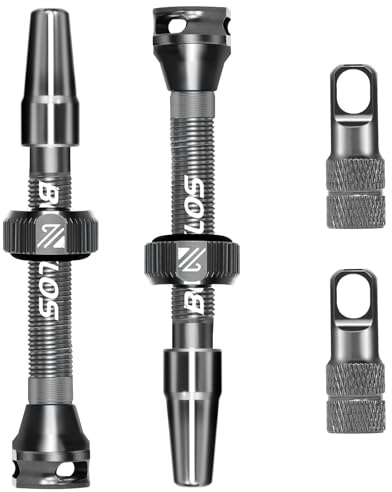 AEYINO 40/44/55/60/80/100mm Tubeless Ventil Presta-Ventil | Geeignet für Mountainbike-/Rennrad-/Mountainbike-Reifen, Aluminium, schwarz, rot, blau, orange, lila, silber, mehrfarbig