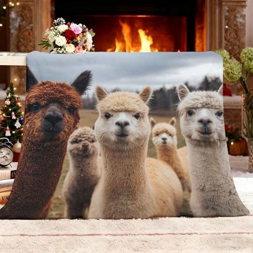 Generisch Fleecedecke Überwurf XL 150x200cm Graslandtier Alpaka Fauschig Decke Flanell Wärmedecke Weiche Grau Decke für Sofa Ruhe Auto Büro Zuhause Schlafen