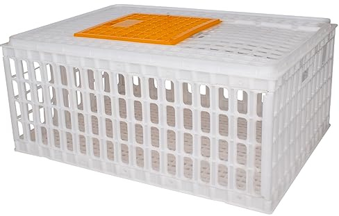 Beeketal 'GBB-1' Geflügel Transportbox mit Schiebetür und Transportgriffen - Transportkiste aus robustem Kunststoff zum Transport von Geflügel und Kleintieren - (L/B/H): ca. 730 x 540 x 320 mm