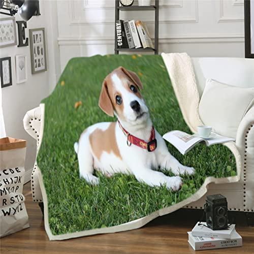 GrüNer Jack-Russell-Terrier Flauschige Kuscheldecke 70x100cm,3D Wohndecke Warm Weiche Schmusedecke Sofadecke Jungen Mädchen - Für Wohnzimmer, Schlafzimmer, Camping, Picknick