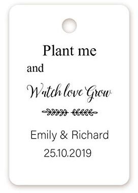 100 Stück personalisiert 40mmx60mm Geschenkanhänger - Plant me and Watch love grow - Hochzeit/Party Gastgeschenk,Sukkulente Pflanzen/Blumensamen Etiketten,Babyparty Anhängeetiketten - Tag 027